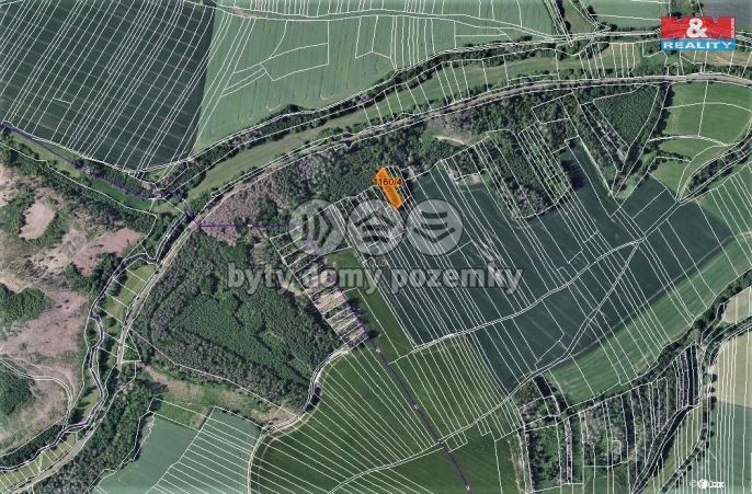 Prodej, Les, Trhový Štěpánov