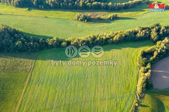 Prodej, Pole, Hostouň