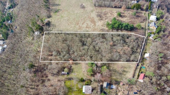 Prodej, Ovocný sad, Zadní Třebaň