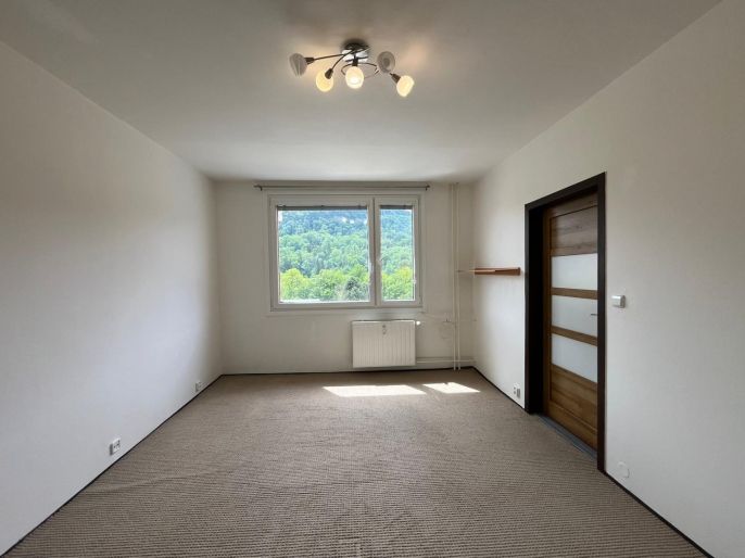 Pronájem, Byt 1+1, Děčín