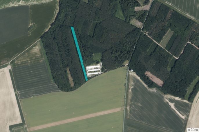 Prodej, Les, Městec Králové