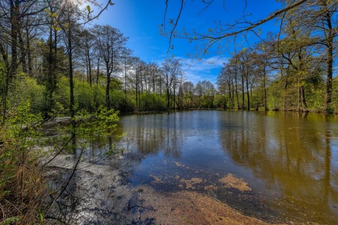 Prodej, Zemědělská usedlost, Vidice