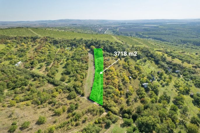 Prodej, Zahrada, Židlochovice