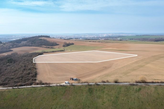 Prodej, Pole, Starý Plzenec