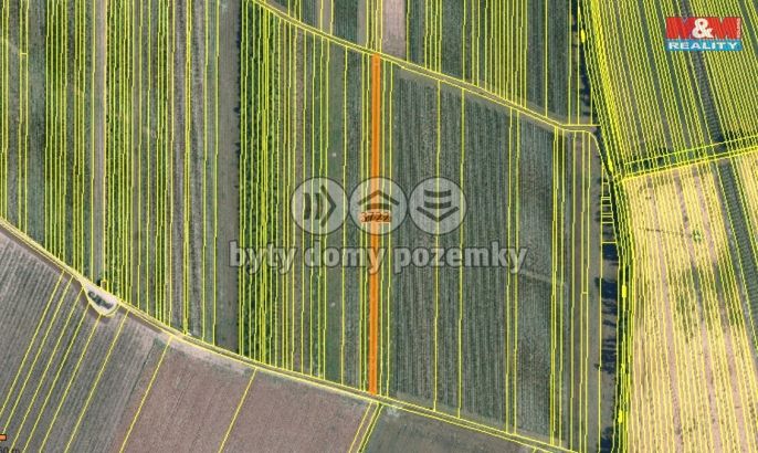 Prodej, Vinice, Moravský Žižkov