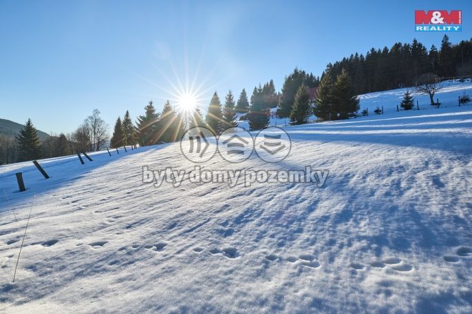 Prodej, Louka, Malá Úpa