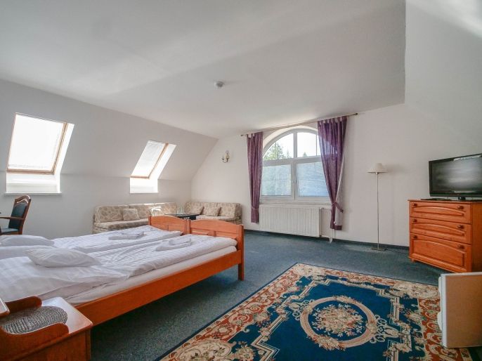 Prodej, Hotel, penzion, Hamry nad Sázavou