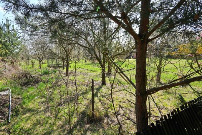 Prodej, Zahrada, Čáslav