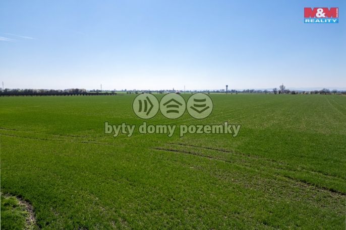 Prodej, Pozemek k bydlení, Žalkovice