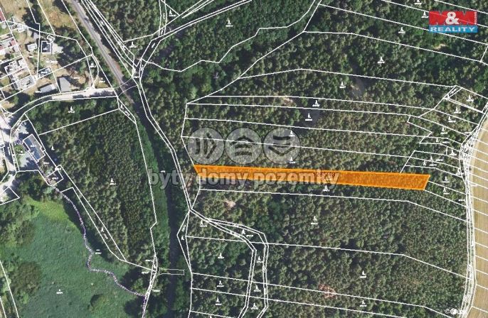 Prodej, Les, Lužná