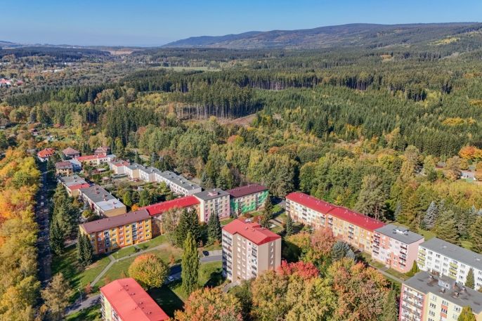 Prodej, Byt 3+1, Mariánské Lázně