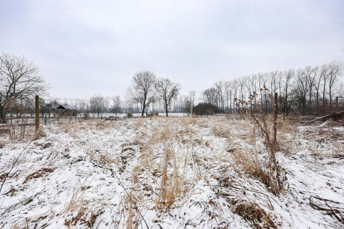 Prodej, Ostatní, Osoblaha