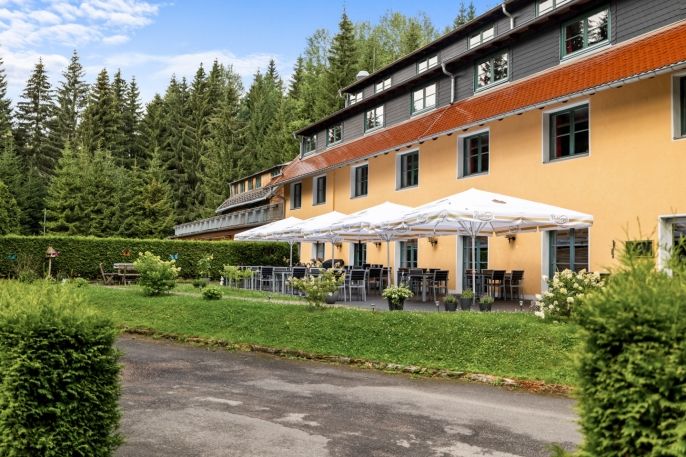 Prodej, Hotel, penzion, Geising