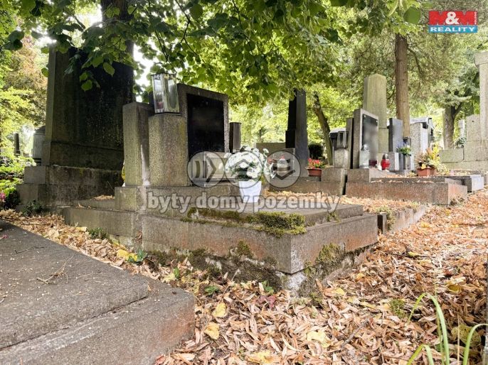 Prodej, Ostatní, Plzeň