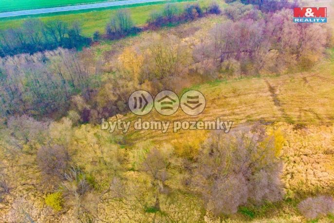 Prodej, Pole, Mochtín