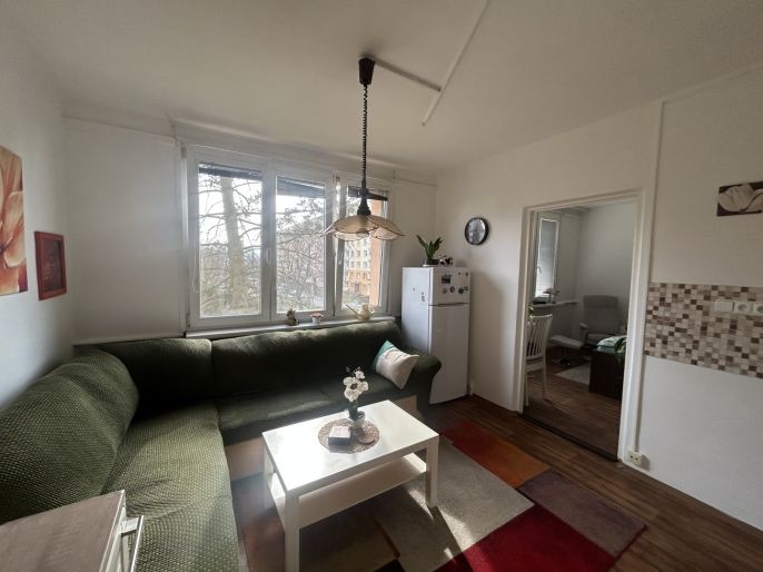 Pronájem, Byt 1+1, Ústí nad Labem