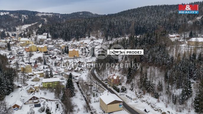 Prodej, Hotel, penzion, Janov nad Nisou