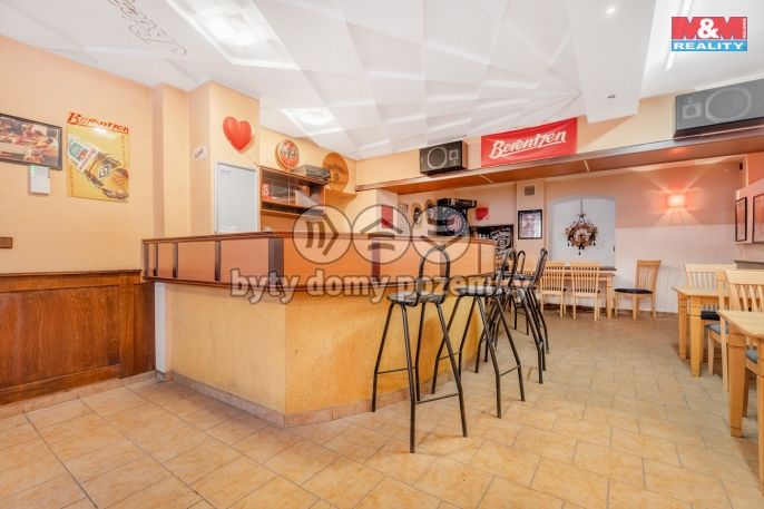 Prodej, Hotel, penzion, Bílina