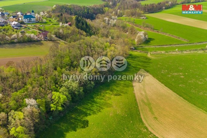 Prodej, Pole, Bílá Lhota