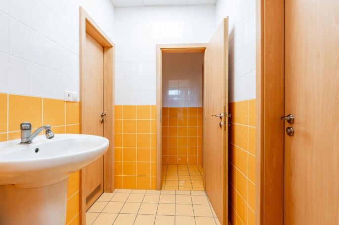 Prodej, Obchodní objekt, Žďár nad Sázavou
