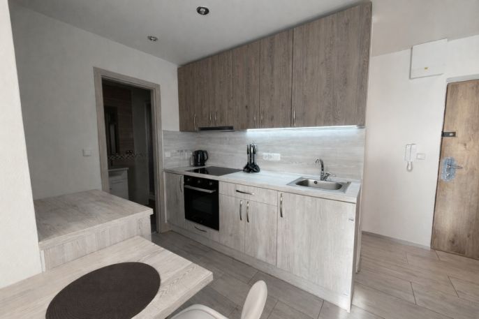 Pronájem, Byt 2+kk, Louny