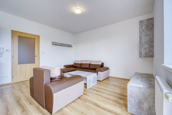 Pronájem, Byt 1+kk, Plasy