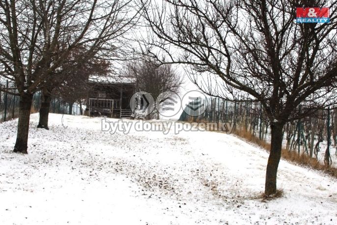 Prodej, Ovocný sad, Starý Poddvorov