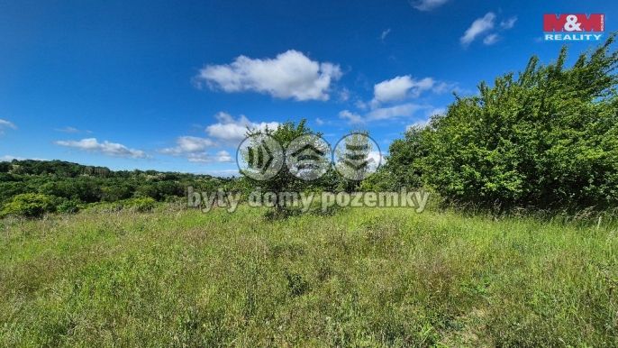 Prodej, Pozemek k bydlení, Hrušovany