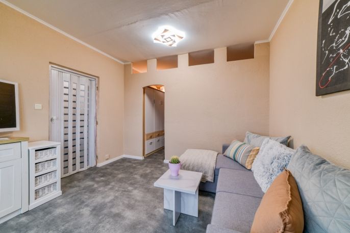 Prodej, Byt 1+1, Planá