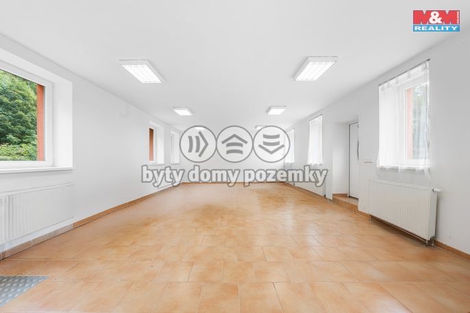 Prodej, Obchod a služby, Vilémov