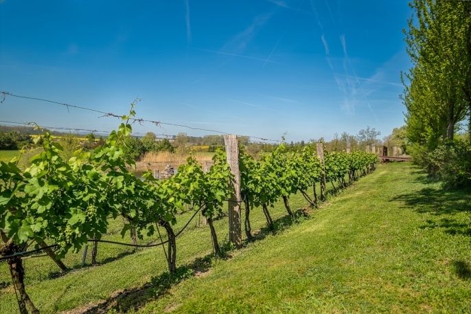 Prodej, Restaurace, stravování, Horka I
