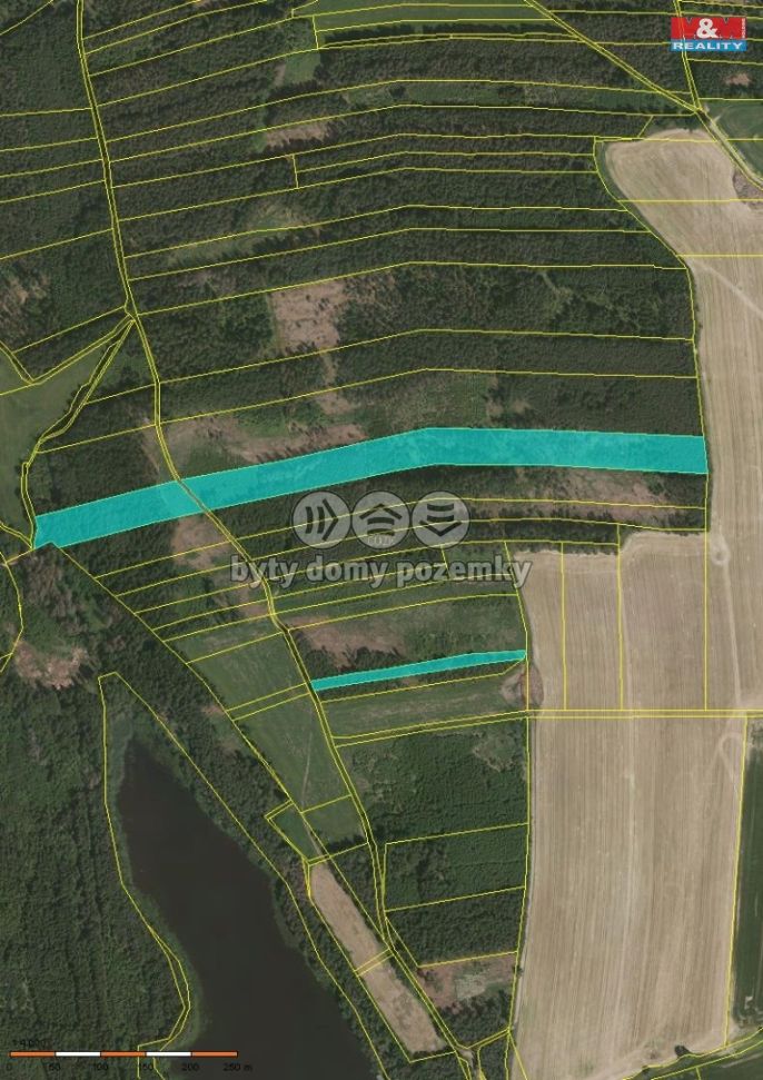 Prodej, Les, Ratibořské Hory