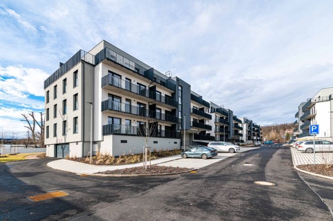 Pronájem, Byt 1+kk, Kladno