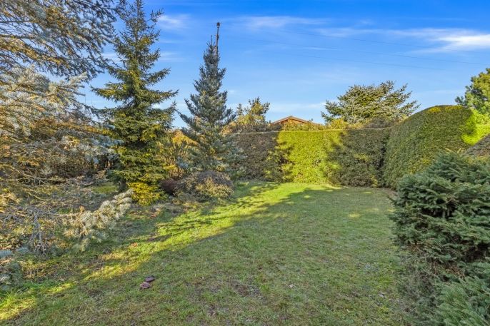 Prodej, Chata, Štěchovice