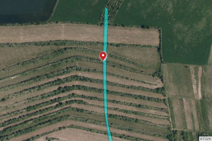 Prodej, Vinice, Morkůvky