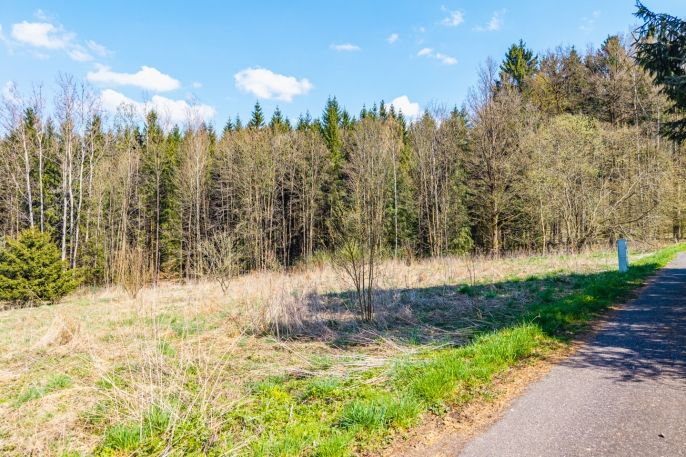 Prodej, Pozemek k bydlení, Radimovice