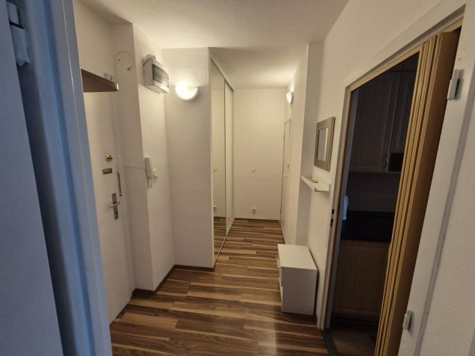 Pronájem, Byt 1+1, Ostrava