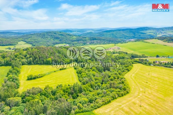 Prodej, Les, Chyňava