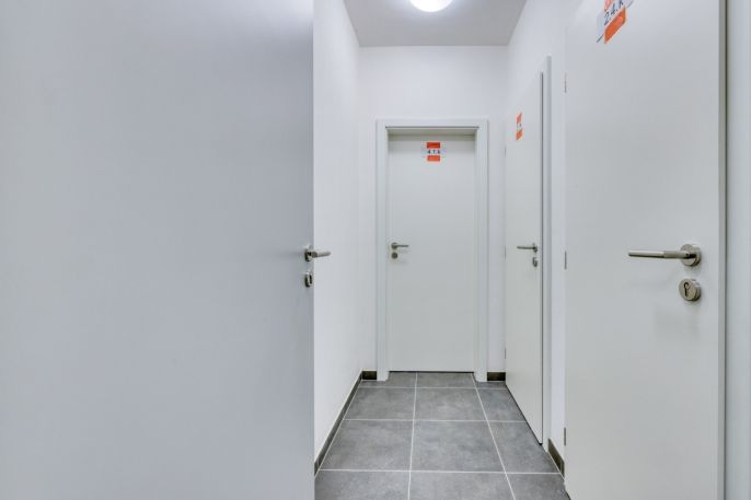 Pronájem, Byt 2+kk, Dobřany