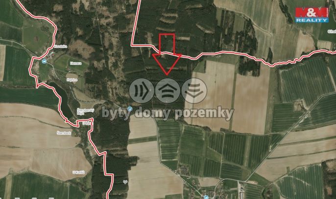 Prodej, Les, Bechyně