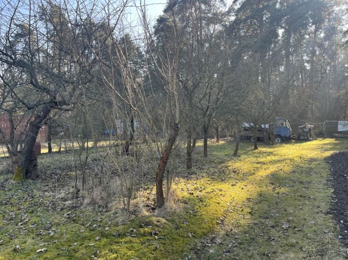 Prodej, Zahrada, Bítouchov