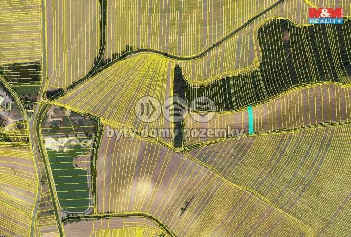 Prodej, Louka, Syrovín