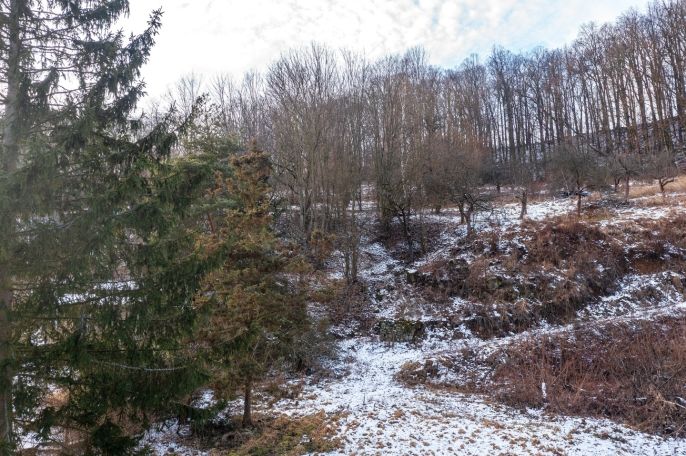 Prodej, Pozemek k bydlení, Benešov nad Ploučnicí