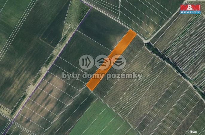 Prodej, Pole, Hrušky