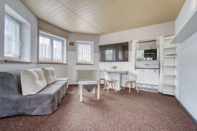 Prodej, Hotel, penzion, Železná Ruda