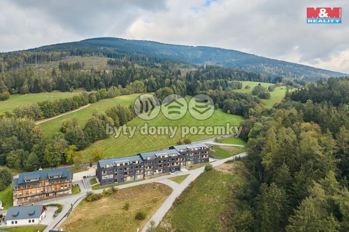 Prodej, Byt 2+kk, Černý Důl