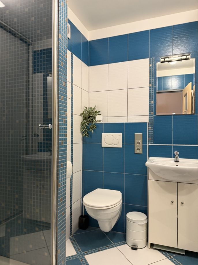 Pronájem, Byt 1+1, Opočno
