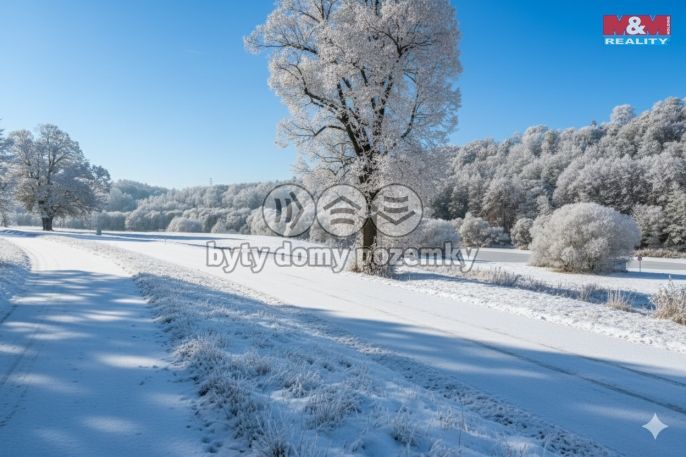 Prodej, Provozní plocha, Zlatá Koruna