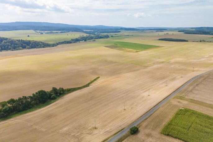 Prodej, Pole, Hlohovice
