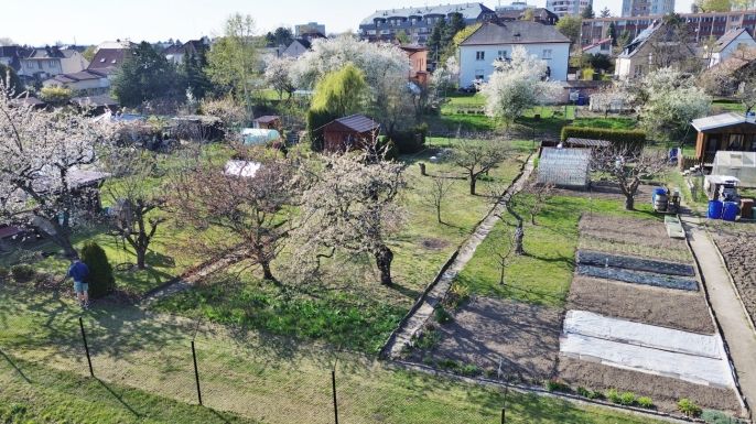 Prodej, Zahrada, Hradec Králové